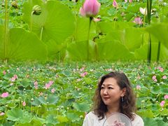 -东郊湿地公园