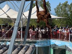 -西霞口神雕山野生动物世界