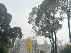 -四川大学(华西校区)