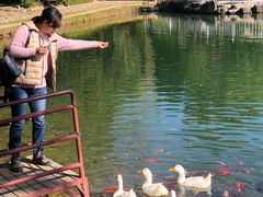 -蝴蝶泉公园