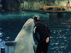 -威海华夏城景区