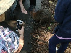 -费瑟代尔野生动物园