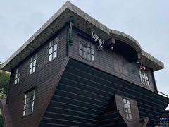 -金山农民画村-枫泾波兰倒置屋