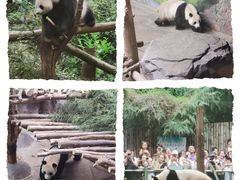-红山森林动物园