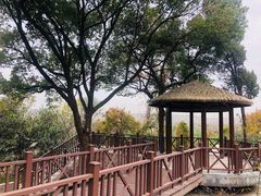 -上海市保健医疗中心