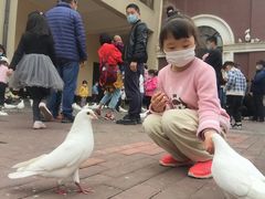 -王府井奥莱临潼小镇(临潼店)