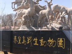 -秦皇岛野生动物园