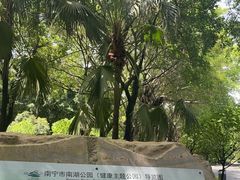 -南宁南湖公园