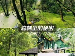-西湖风景区-江洋畈生态公园
