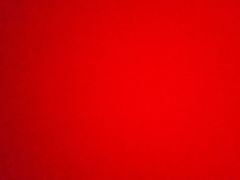 奶酥条-上海哈尔滨食品厂(淮海中路店)