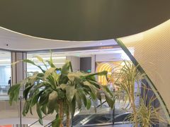 -烹然四季椰子鸡火锅(姚家园万象汇店)