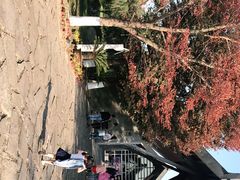 -鸿山遗址博物馆