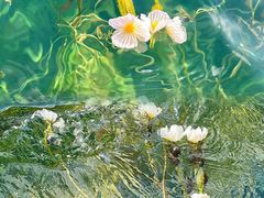 -丽江泸沽湖景区