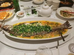 -玫瑰厅上海菜(兴国路店)