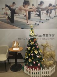 -FineYoga梵音瑜伽·普拉提