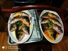 -忘情水鱼府(北湖路店)