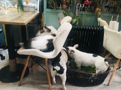 -小时光咖啡馆(北锣鼓巷店)
