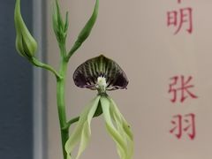 -厦门园林博览苑