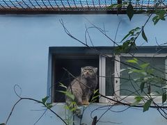 -青藏高原野生动物园