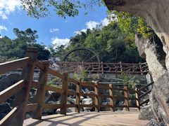 -霸王岭国家森林公园