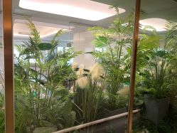 -爱瑞馨母婴护理中心(爱悠悠店)