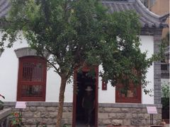 石榴树-老舍旧居