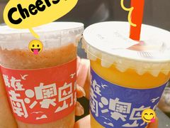 -南澳岛打卡果汁冰公司