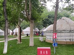 -九十九顶毡房(阜石路店)