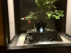 -曲水兰亭(北京四惠店)