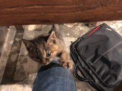 -时光转角咖啡馆(西康路店)