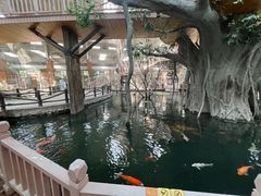 -南宫五洲植物乐园