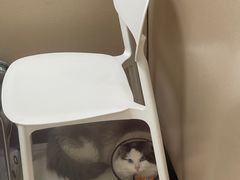 -安安宠医·臻爱宠物医院·宠保定点(营门口路分院)
