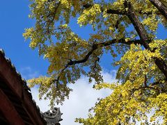 -金堂县云顶石城风景区