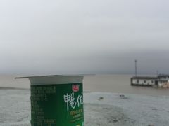 -瀛洲公园