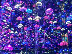 -杭州西湖星空魔幻城(星空艺术馆品牌旗舰店)