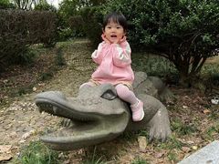 -中国扬子鳄村