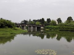-洋湖国家湿地公园