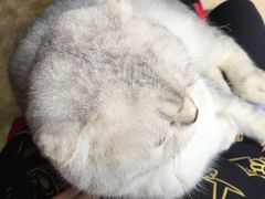 -MIKAKU(万达广场上海宝山店)