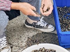 -乡乐园蟹庄·阳澄湖农家乐