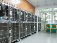 -宠福鑫动物医院·动物疾病诊疗中心(天通苑店)