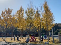 -南京市无想山景区