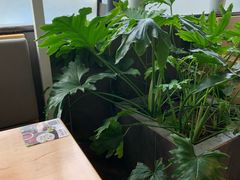 -嘉和一品粥(方庄店)