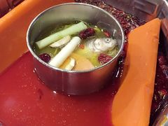 -蜀九香火锅(九眼桥店)