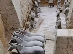 -秦始皇帝陵博物院(兵马俑)