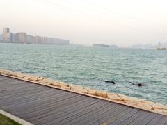 -海沧湾公园