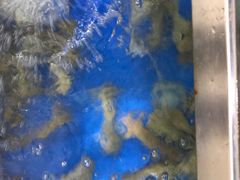 -宾朋海鲜特色美食餐厅·纯手工鲅鱼水饺(兴海路店)