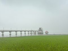 -seeu coffee(江滩店)