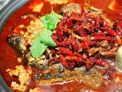 -探鱼·鲜青椒爽麻烤鱼(苏宁广场店)