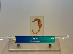 -生命奥秘博物馆