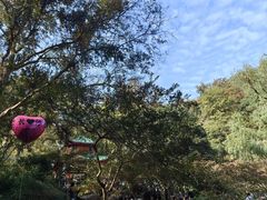 -岳麓山风景名胜区